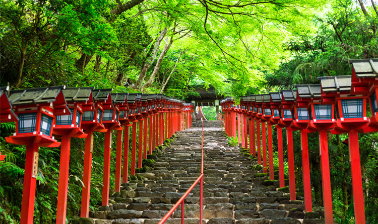 京都旅行、泊まるのは京都だけ？大阪国際（伊丹）空港泊で日本周遊をもっと自由に