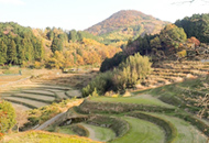 三草山ゼフィルスの森2