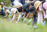 三草山ゼフィルスの森3