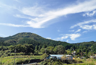 三草山ゼフィルスの森4