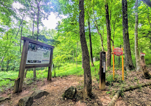 三草山ゼフィルスの森